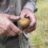 Eine nachhaltige Landwirtschaft Nachhaltige Landwirtschaft,