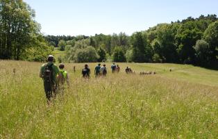 3-Seenwanderung während der Bundeswandertage 2015